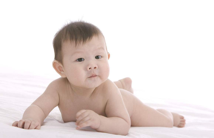 豬年姓楊男孩名字大全 2019年姓楊的男孩名字叫什么好