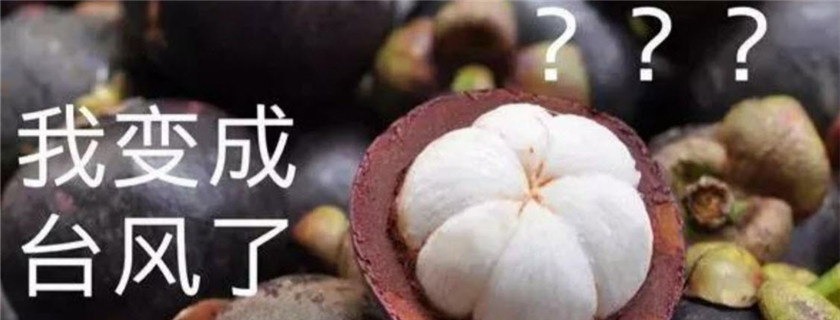 防臺風山竹手抄報圖片 關于臺風山竹手抄報內容