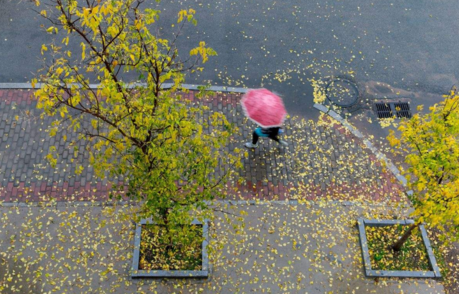 關(guān)于秋天美景的作文 秋季相關(guān)作文怎么寫