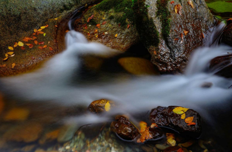 關(guān)于秋天美景的作文 秋季相關(guān)作文怎么寫