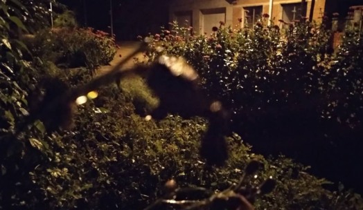 關于秋雨的詩句古詩 描寫秋雨的詩詞