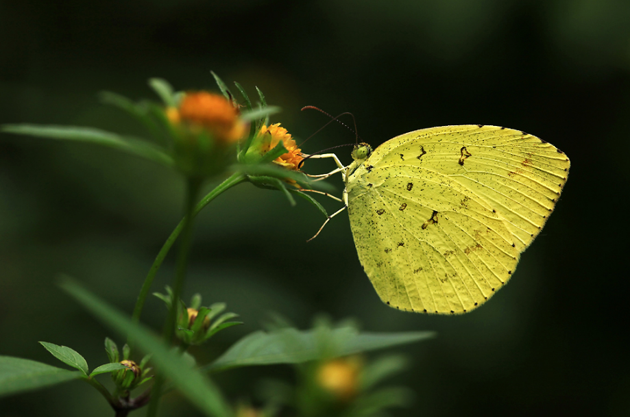 描寫夏末初秋的句子 夏末初秋發什么說說朋友圈