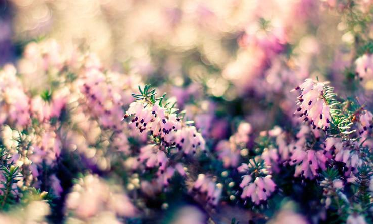 描寫夏末初秋的句子 夏末初秋發什么說說朋友圈