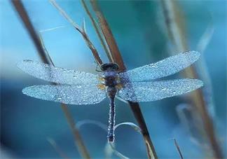 初秋的夜晚說說 夜晚的秋天說說朋友圈