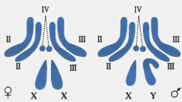2018年9月18號行房受孕生男生女 農歷八月初九懷孕生男孩還是女孩