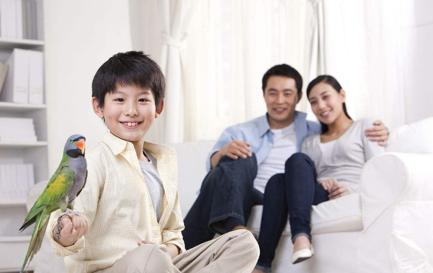 姓柳男孩帥氣的名字 男孩姓柳起什么名字好 姓柳男孩帥氣的名字 男孩姓柳起什么名字好