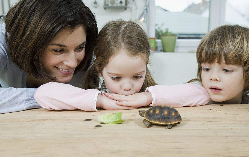 姓費有詩意的名字怎么起 姓費的孩子名字大全 姓費有詩意的名字怎么起 姓費的孩子名字大全