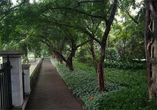 國慶旅游打卡說說 國慶旅游心情說說