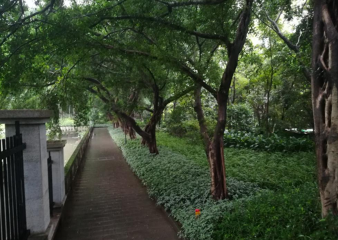 國慶旅游打卡說說 國慶旅游心情說說