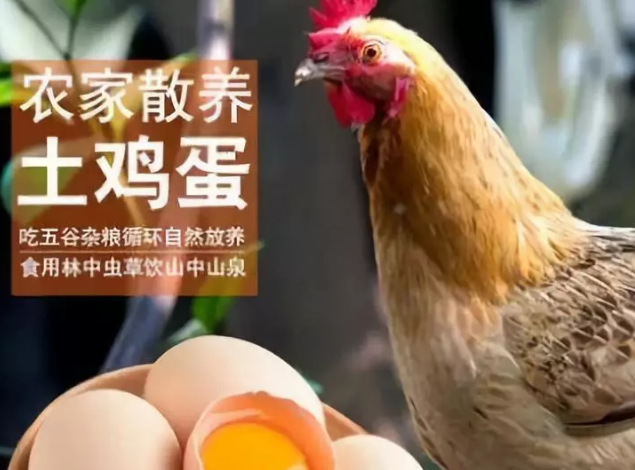 寶寶吃土雞蛋更有營養嗎 寶寶更適合吃土雞蛋嗎