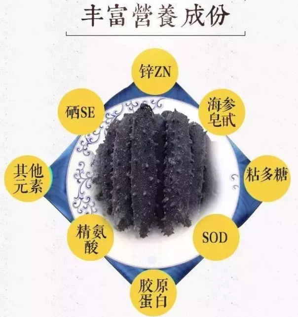 寶寶可以吃海參嗎 寶寶吃海參有哪些營養 寶寶可以吃海參嗎 寶寶吃海參有哪些營養