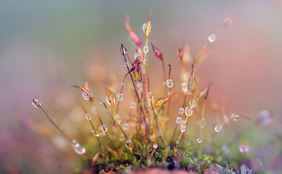 今日寒露說說 2018今天寒露說說朋友圈
