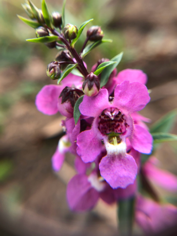 關于今日寒露的說說 今日寒露的唯美說說 關于今日寒露的說說 今日寒露的唯美說說