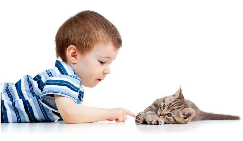 男孩姓安取什么名字起什么好 姓安的男孩名字洋氣起名推薦