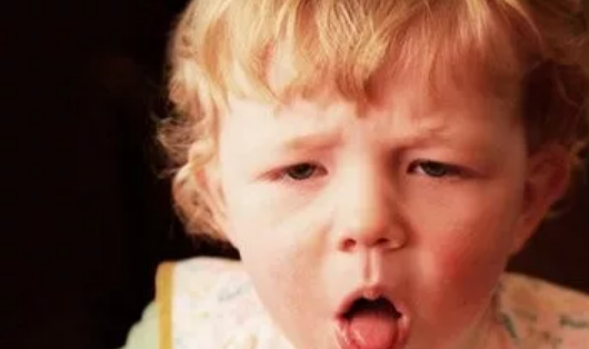 孩子痰熱咳嗽小妙招 孩子痰熱咳嗽食療方法 孩子痰熱咳嗽小妙招 孩子痰熱咳嗽食療方法