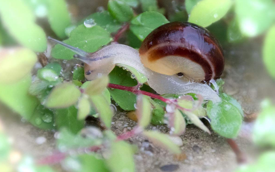 一個人天氣變冷的說說 一個人關于天氣變化說說朋友圈