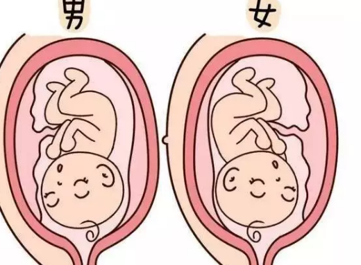 2018年10月1號行房受孕生男生女 農歷八月二十二懷孕生男孩還是女孩