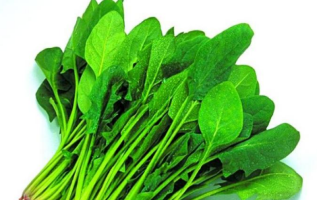 男士吃葉酸有用嗎    含葉酸的食物推薦