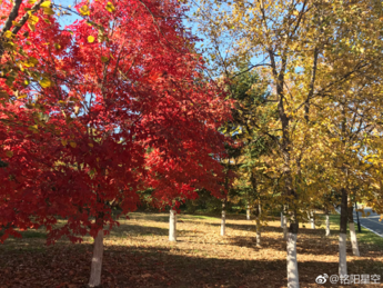 周末陪孩子玩的說說 陪孩子在家過周末說說朋友圈