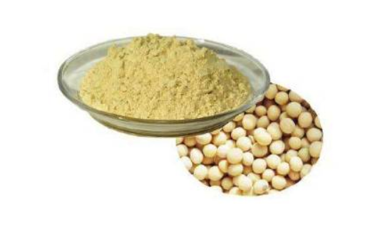 女性備孕吃黑豆還是黃豆好 黑豆和黃豆區別對比 女性備孕吃黑豆還是黃豆好 黑豆和黃豆區別對比