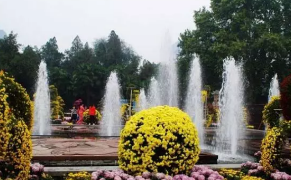 2018重陽節(jié)作文800字 最新重陽節(jié)快樂作文400字