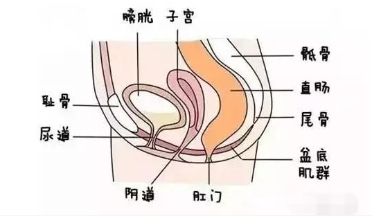 產(chǎn)后漏尿正常嗎 產(chǎn)后漏尿怎么辦 產(chǎn)后漏尿正常嗎 產(chǎn)后漏尿怎么辦