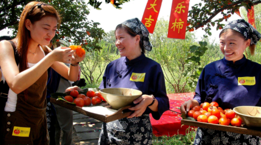 寶寶能吃柿子嗎 柿子不能和什么一起吃 寶寶能吃柿子嗎 柿子不能和什么一起吃