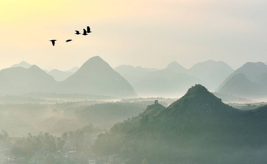 關于重陽節的詩詞 重陽節的詩句古詩大全 關于重陽節的詩詞 重陽節的詩句古詩大全