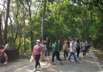 重陽節的來歷是什么 重陽節的由來簡介