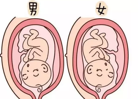 2018年10月18號(hào)行房受孕生男生女 農(nóng)歷九月初十懷孕生男孩還是女孩 2018年10月18號(hào)行房受孕生男生女 農(nóng)歷九月初十懷孕生男孩還是女孩