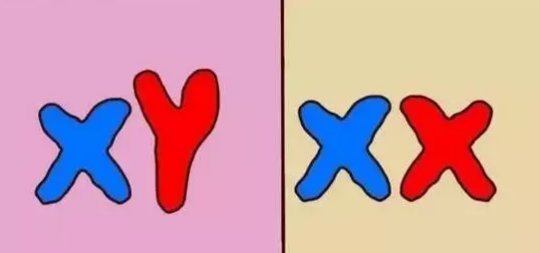 2018年10月20號行房受孕生男生女 農(nóng)歷九月十二懷孕生男孩還是女孩