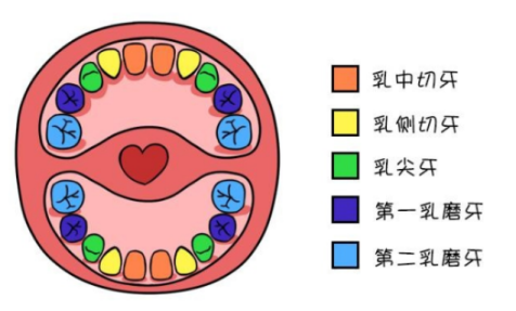 寶寶長(zhǎng)牙怎么護(hù)理      寶寶長(zhǎng)牙時(shí)期護(hù)理方法
