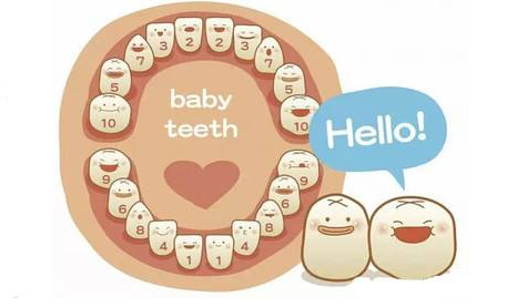 寶寶長牙吃什么食物好   寶寶長牙食物推薦