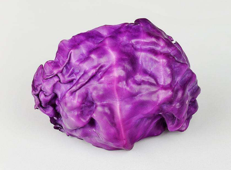 寶寶可以吃紫甘藍嗎 怎么選購適合寶寶吃的紫甘藍 