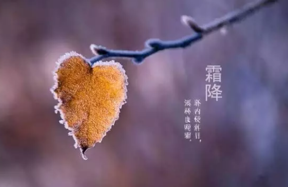 2018霜降寶寶吃什么好 霜降節氣寶寶養生方法