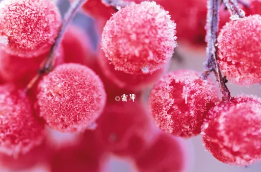 霜降后寶寶睡覺(jué)穿什么好 秋天寶寶睡覺(jué)要用睡袋嗎