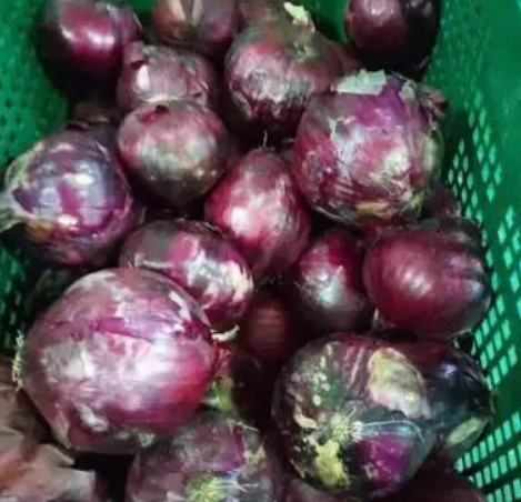 上海中芯國際學(xué)校食物變質(zhì) 上海私立學(xué)校給孩子吃長毛的番茄