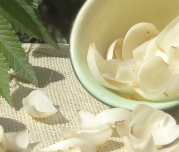 霧霾天小孩吃什么好 霧霾天應該如何注意飲食