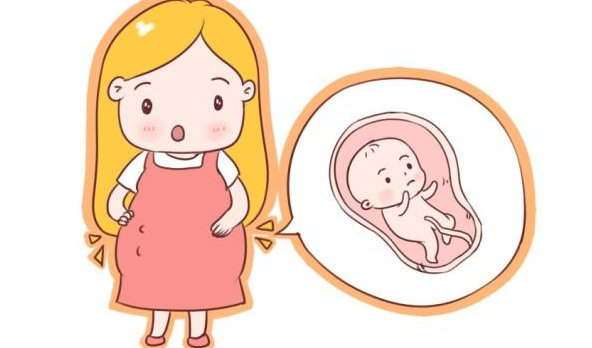 寶寶胎動減少是什么原因 寶寶胎動減少原因 寶寶胎動減少是什么原因 寶寶胎動減少原因