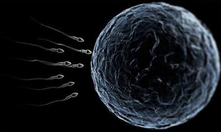 受精卵著床需要幾天 受精卵著床時間介紹 受精卵著床需要幾天 受精卵著床時間介紹