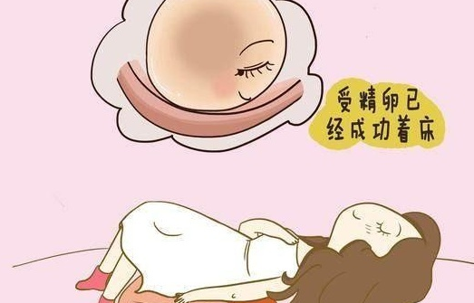 受精卵著床有什么癥狀 受精卵著床的表現一覽 受精卵著床有什么癥狀 受精卵著床的表現一覽