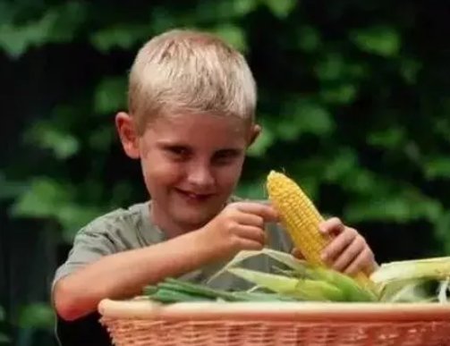 幼兒園感恩節的親子游戲 2018感恩節親子游戲活動大全