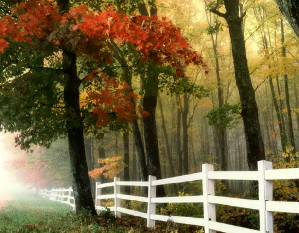 小學感恩作文怎么開頭 最新感恩節作文400字