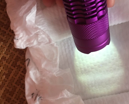 倍康紙尿褲會紅屁股嗎 倍康紙尿褲質量安全嗎