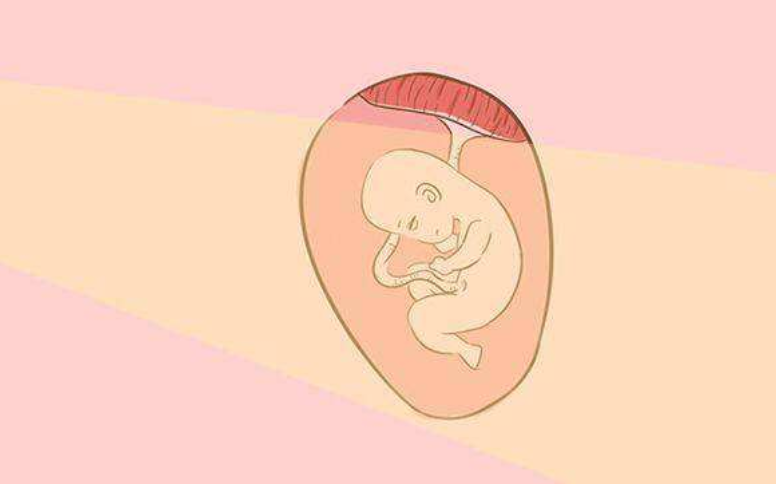 什么時候可以進(jìn)行胎兒視覺訓(xùn)練 如何訓(xùn)練嬰兒視覺