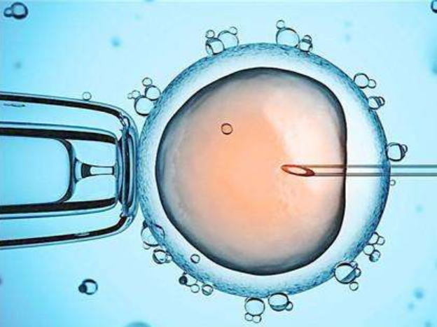 什么會影響試管嬰兒的成功率 影響試管嬰兒成功率的5大因素