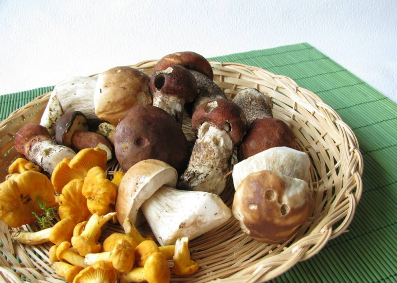 給孩子吃蘑菇要注意什么 多大孩子可以吃蘑菇