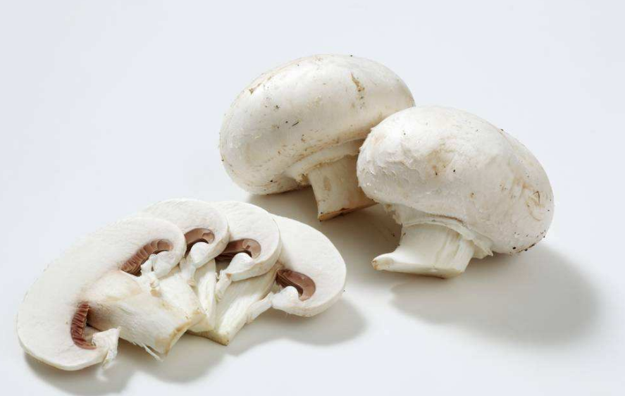 給孩子吃蘑菇要注意什么 多大孩子可以吃蘑菇