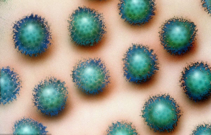 美兒童護理機構(gòu)出現(xiàn)嚴重腺病毒疫情 已致使6名兒童死亡