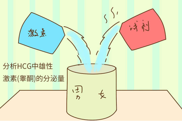 胎兒性別檢測試紙準(zhǔn)嗎 如何看胎兒的性別 胎兒性別檢測試紙準(zhǔn)嗎 如何看胎兒的性別